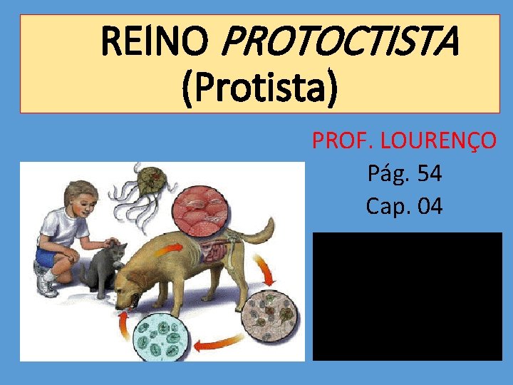 REINO PROTOCTISTA (Protista) PROF. LOURENÇO Pág. 54 Cap. 04 