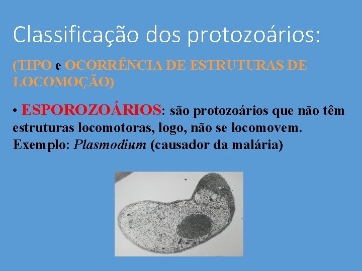 Classificação dos protozoários: (TIPO e OCORRÊNCIA DE ESTRUTURAS DE LOCOMOÇÃO) • ESPOROZOÁRIOS: são protozoários