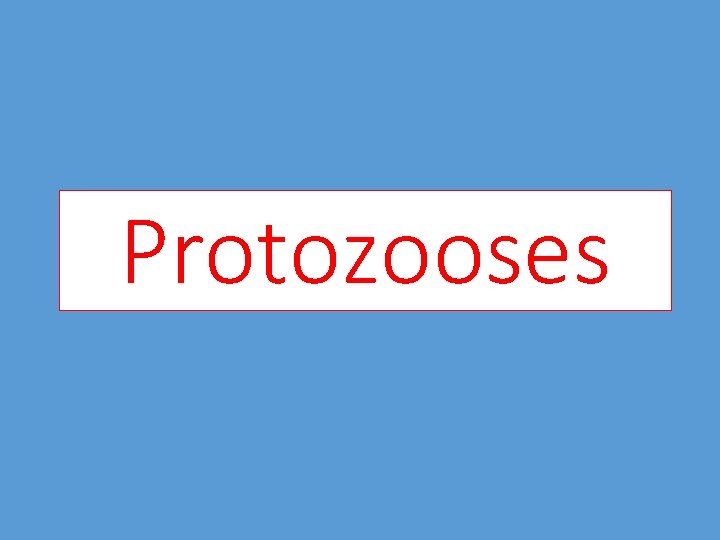 Protozooses 
