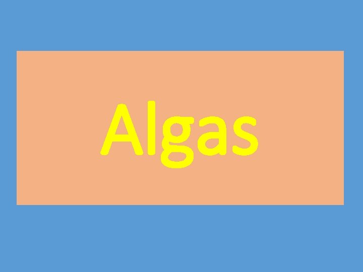 Algas 