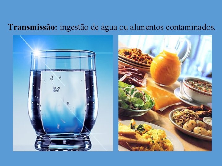 Transmissão: ingestão de água ou alimentos contaminados. 