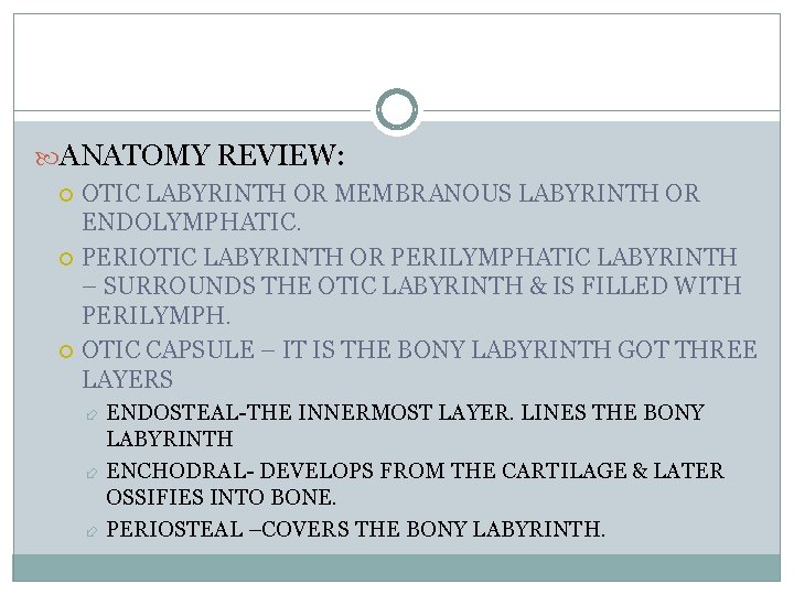  ANATOMY REVIEW: OTIC LABYRINTH OR MEMBRANOUS LABYRINTH OR ENDOLYMPHATIC. PERIOTIC LABYRINTH OR PERILYMPHATIC