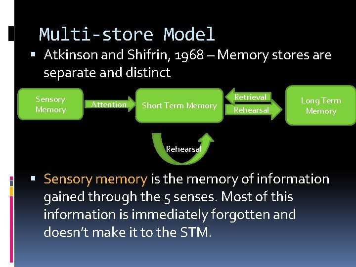 Multi-store Model Atkinson and Shifrin, 1968 – Memory stores are separate and distinct Sensory