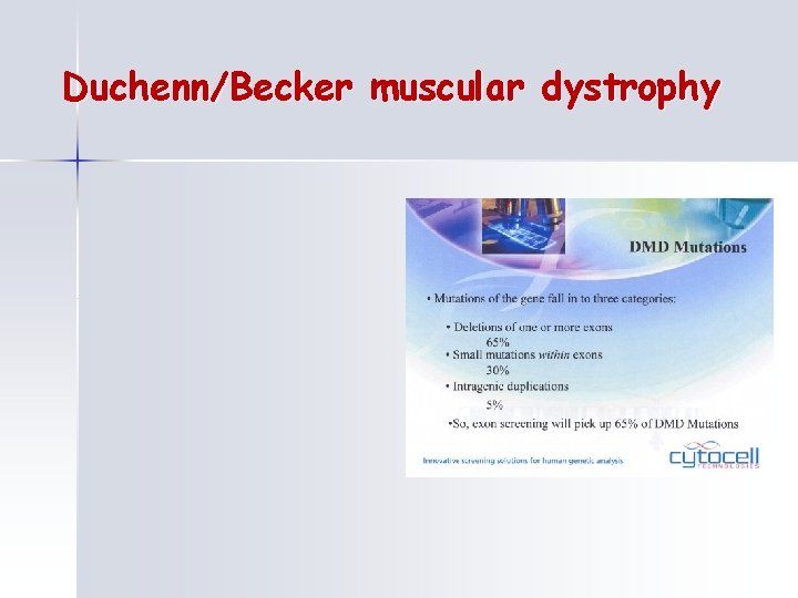 Duchenn/Becker muscular dystrophy 