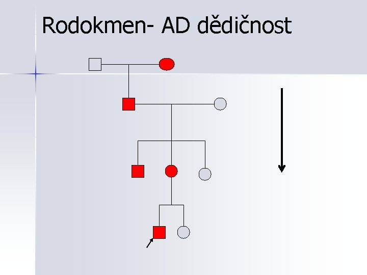 Rodokmen- AD dědičnost 