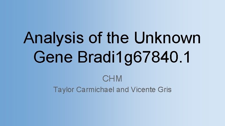 Analysis of the Unknown Gene Bradi 1 g 67840. 1 CHM Taylor Carmichael and
