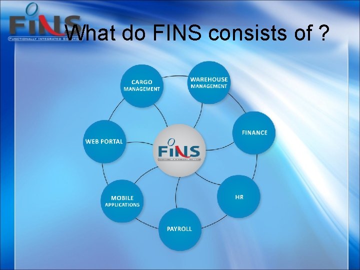 What do FINS consists of ? 