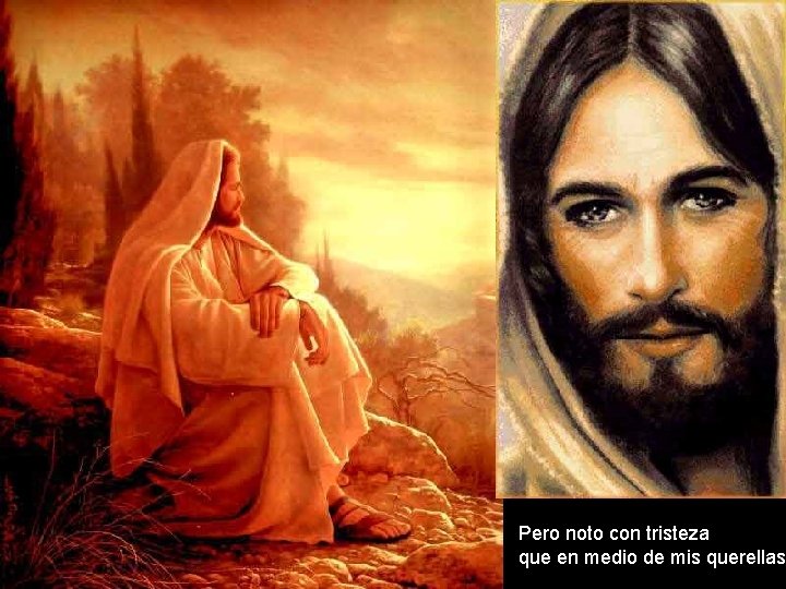 Pero noto con tristeza que en medio de mis querellas Pero noto con tristeza que en medio de mis querellas
