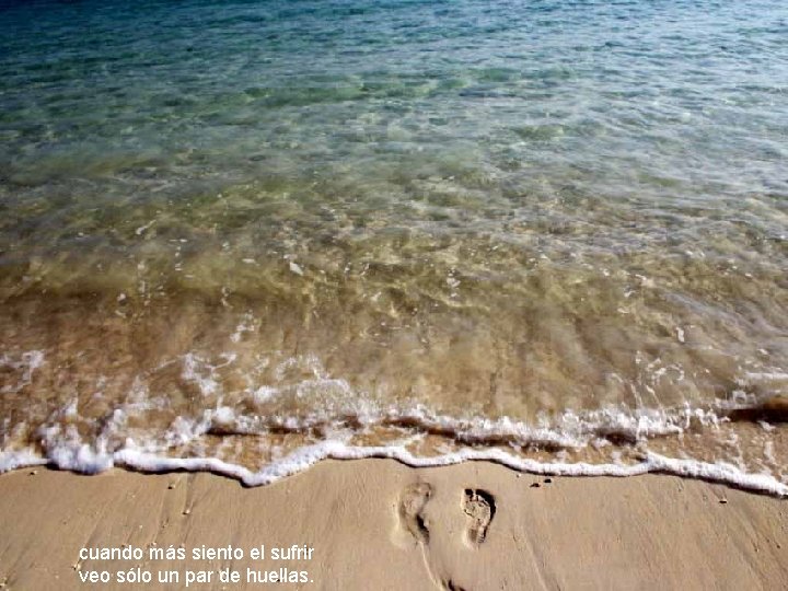 cuando más siento el sufrir veo sólo un par de huellas. cuando más siento el sufrir veo sólo un par de huellas.