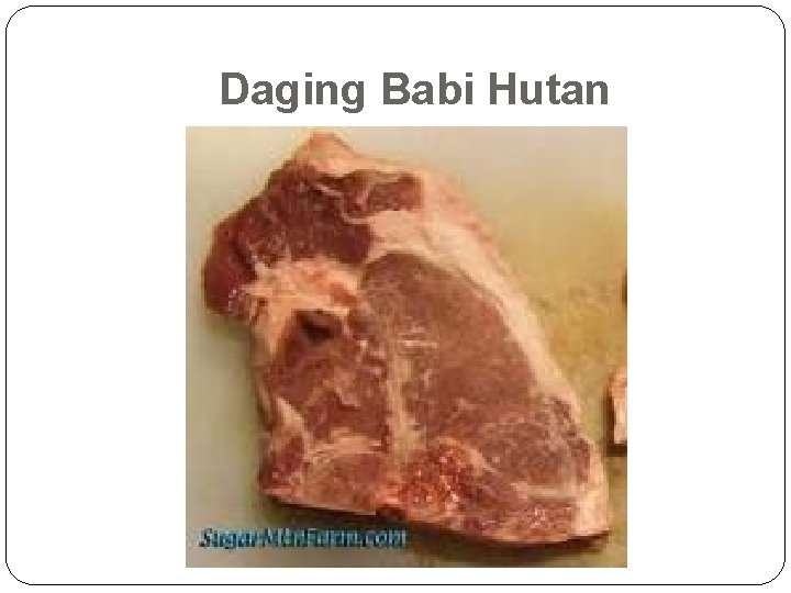 Daging Babi Hutan 