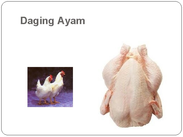 Daging Ayam 