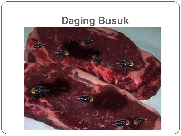Daging Busuk 