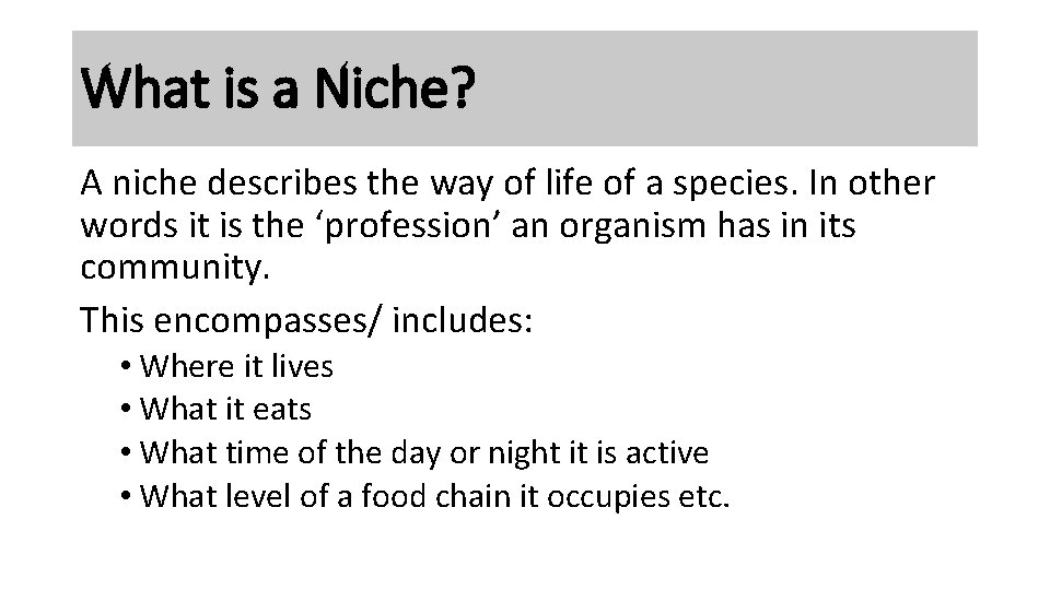 What is a Niche? A niche describes the way of life of a species.