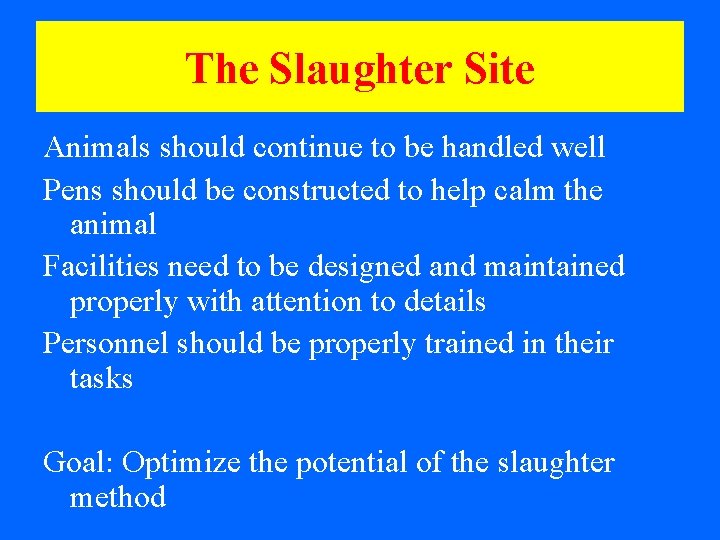 The Slaughter Site Animals should continue to be handled well Pens should be constructed