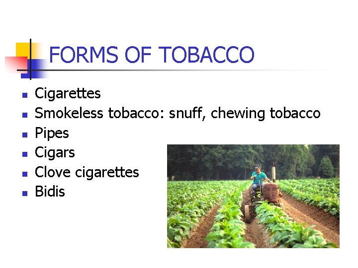 FORMS OF TOBACCO n n n Cigarettes Smokeless tobacco: snuff, chewing tobacco Pipes Cigars