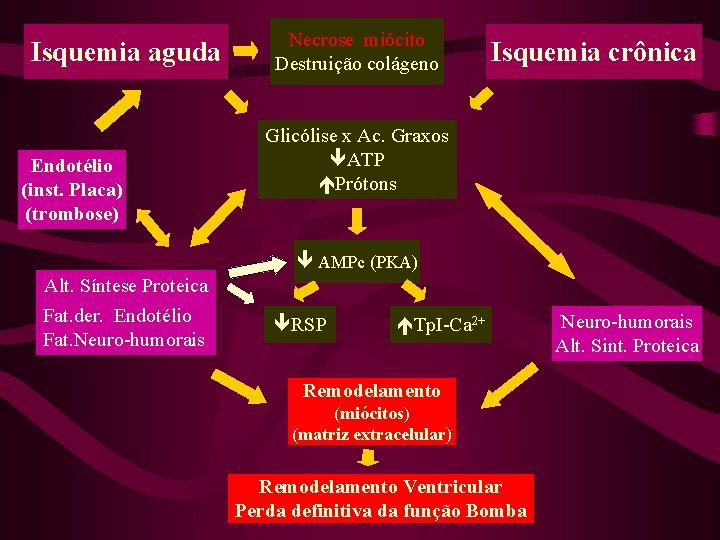 Isquemia aguda Endotélio (inst. Placa) (trombose) Necrose miócito Destruição colágeno Isquemia crônica Glicólise x