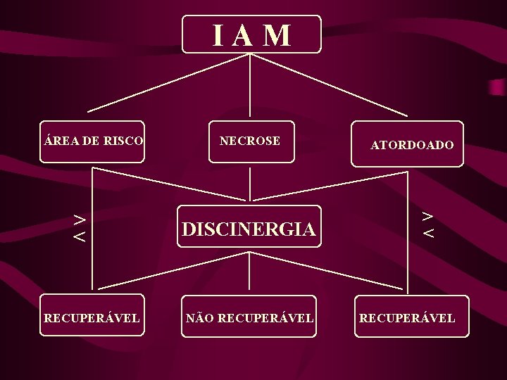 IAM ÁREA DE RISCO > < RECUPERÁVEL NECROSE DISCINERGIA NÃO RECUPERÁVEL ATORDOADO > <