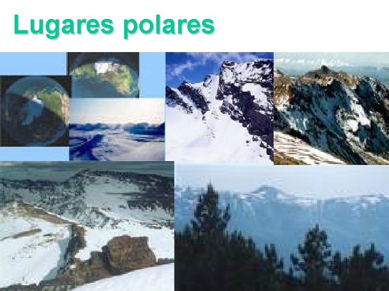 Lugares polares 