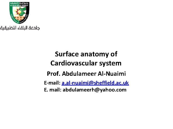 Surface anatomy of Cardiovascular system Prof. Abdulameer Al-Nuaimi E-mail: a. al-nuaimi@sheffield. ac. uk E.