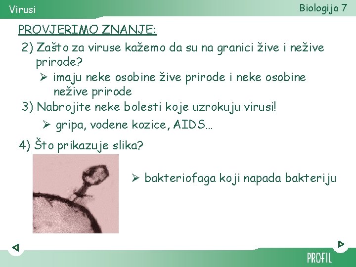 virusi osobine cauze papilomavirus