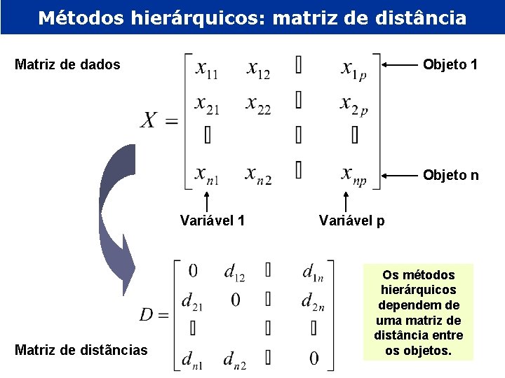 Métodos hierárquicos: matriz de distância Objeto 1 Matriz de dados Objeto n Variável 1