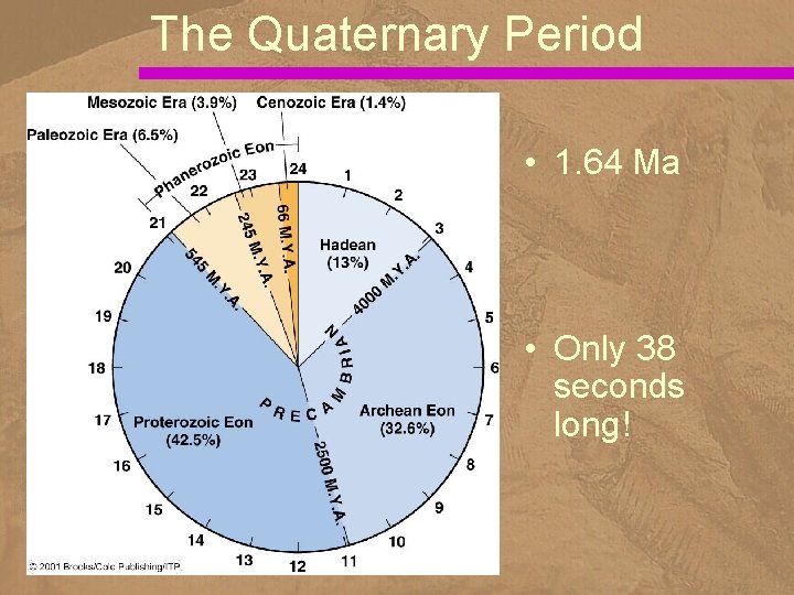 The Quaternary Period • 1. 64 Ma • Only 38 seconds long! 
