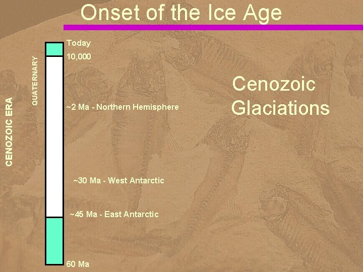 Onset of the Ice Age QUATERNARY CENOZOIC ERA Today 10, 000 ~2 Ma -