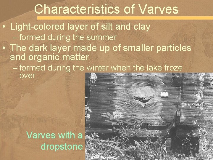 Characteristics of Varves • Light-colored layer of silt and clay – formed during the