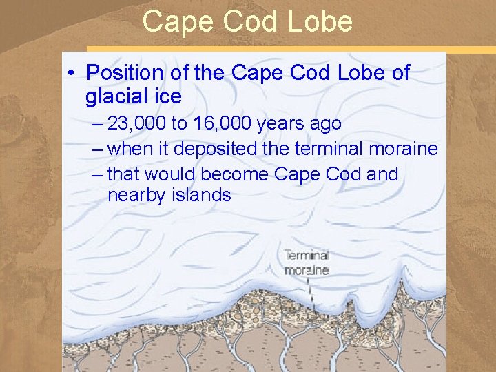 Cape Cod Lobe • Position of the Cape Cod Lobe of glacial ice –