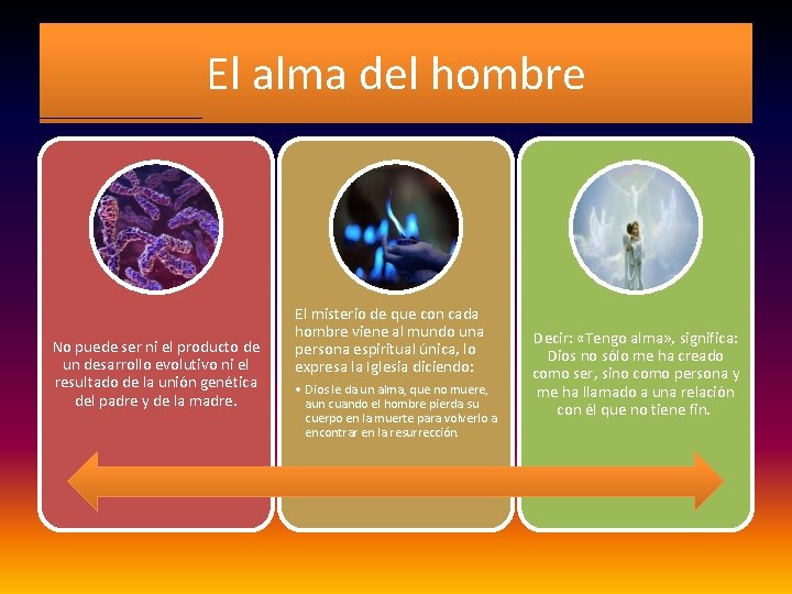 El alma del hombre No puede ser ni el producto de un desarrollo evolutivo