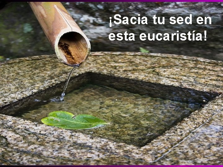 ¡Sacia tu sed en esta eucaristía! 