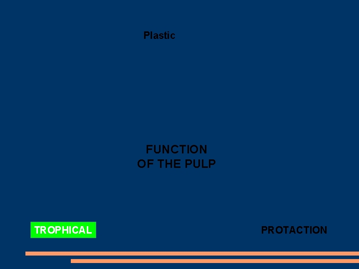Plastic FUNCTION OF THE PULP TROPHICAL PROTACTION 