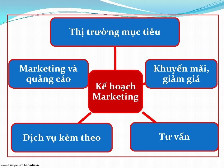 Thị trường mục tiêu Marketing và quảng cáo Kế hoạch Marketing Dịch vụ kèm