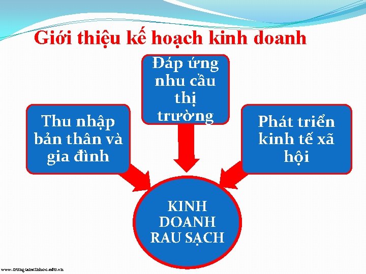 Giới thiệu kế hoạch kinh doanh Thu nhập bản thân và gia đình Đáp