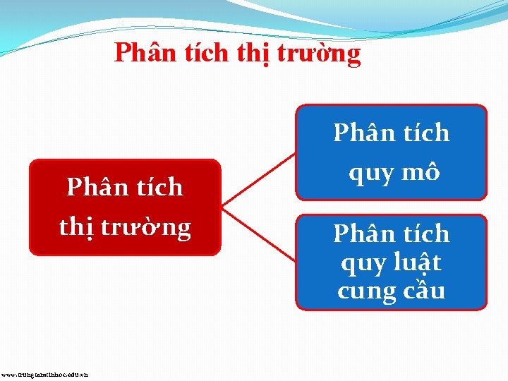 Phân tích thị trường www. trungtamtinhoc. edu. vn Phân tích quy mô Phân tích