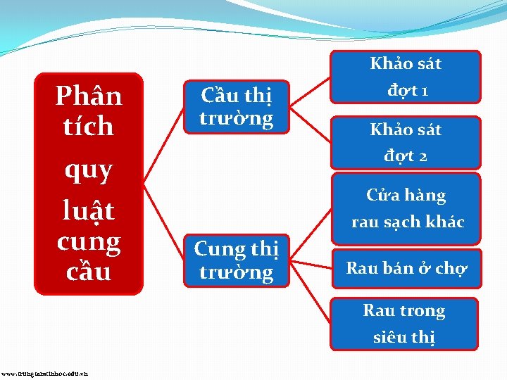 Phân tích quy luật cung cầu Cầu thị trường Khảo sát đợt 1 Khảo