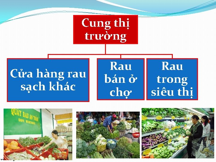 Cung thị trường Cửa hàng rau sạch khác www. trungtamtinhoc. edu. vn Rau bán