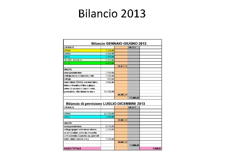 Bilancio 2013 