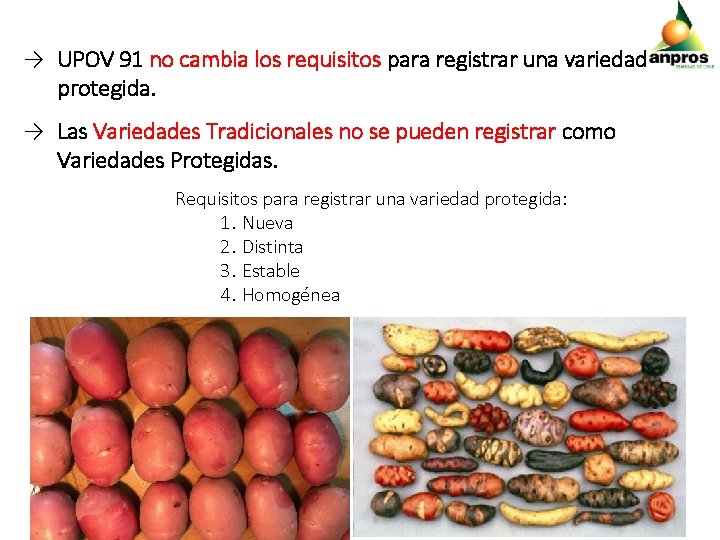 → UPOV 91 no cambia los requisitos para registrar una variedad protegida. → Las