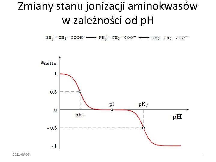 Zmiany stanu jonizacji aminokwasów w zależności od p. H 2021 -06 -05 18 
