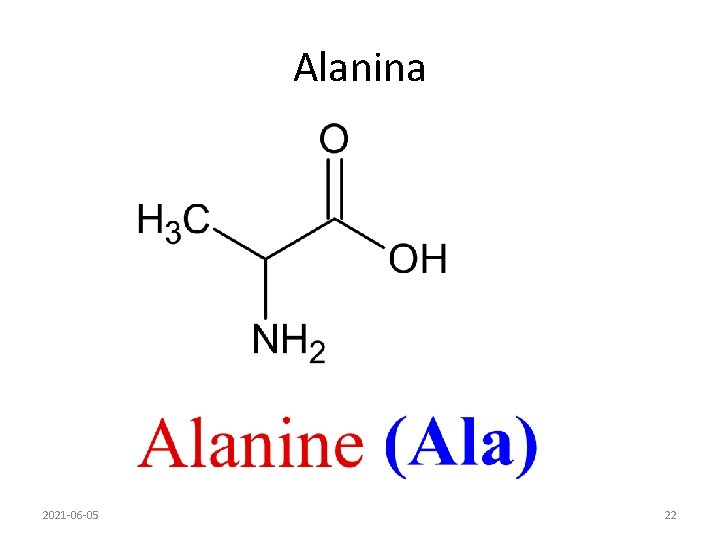Alanina 2021 -06 -05 22 