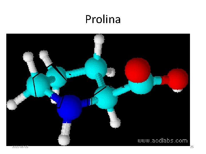 Prolina 2021 -06 -05 25 