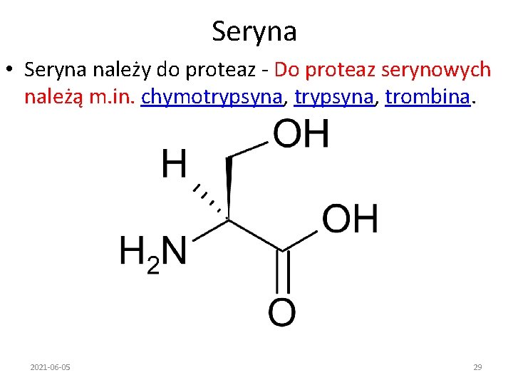 Seryna • Seryna należy do proteaz - Do proteaz serynowych należą m. in. chymotrypsyna,