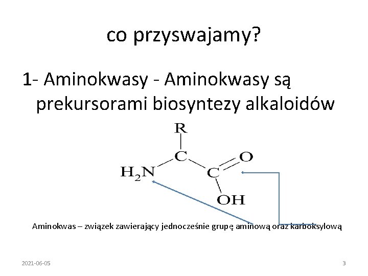co przyswajamy? 1 - Aminokwasy są prekursorami biosyntezy alkaloidów Aminokwas – związek zawierający jednocześnie
