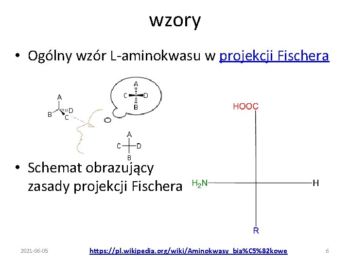 wzory • Ogólny wzór L-aminokwasu w projekcji Fischera • Schemat obrazujący zasady projekcji Fischera