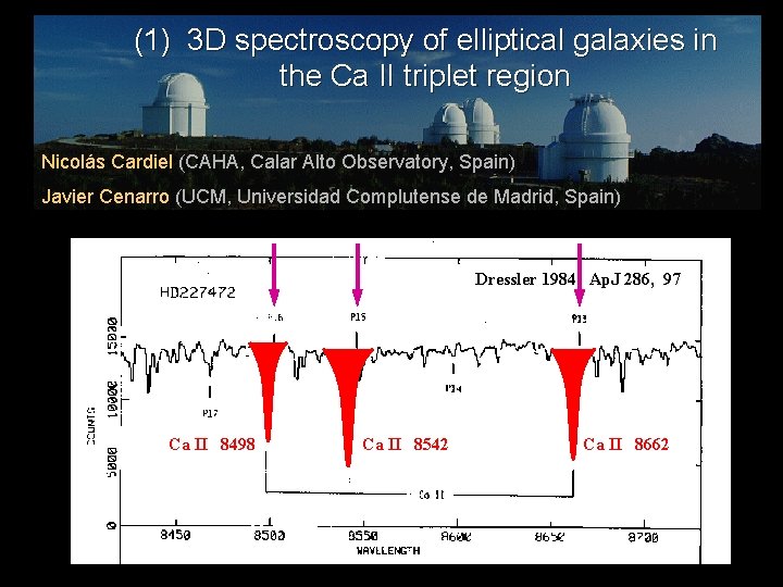 (1) 3 D spectroscopy of elliptical galaxies in the Ca II triplet region Nicolás