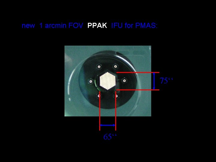 new 1 arcmin FOV PPAK IFU for PMAS: 75‘‘ 65‘‘ 