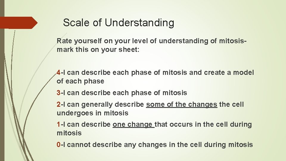 Scale of Understanding Rate yourself on your level of understanding of mitosismark this on