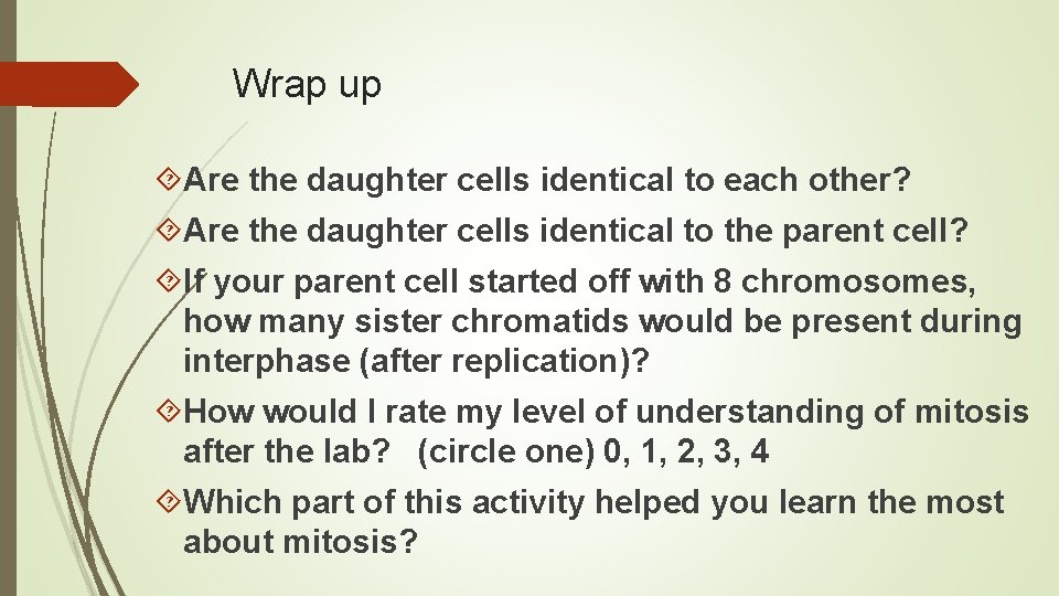 Wrap up Are the daughter cells identical to each other? Are the daughter cells