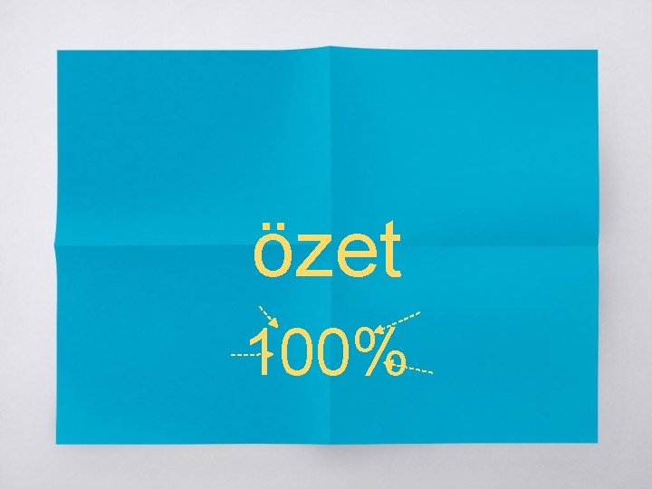 özet 100% 